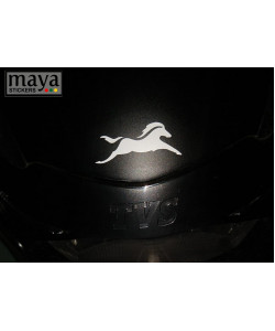TVS horse logo sticker on apache RTR