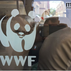 WWF panda logo for cars, bikes and laptop  ( Pair of 2 )