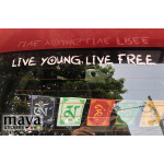 Live young, live free sticker for mahindra thar, xuv, tuv, kuv, scorpio, bolero
