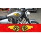 RE with wings  sticker for Royal Enfield bikes.  (pair of 2)