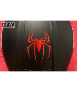 Spider sticker on helmet 