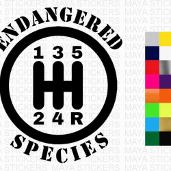 Endangered species manual transmission funny car bumper sticker