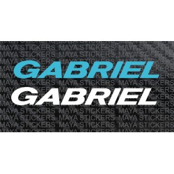 Gabriel India shockers logo bike stickers ( Pair of 2 stickers )