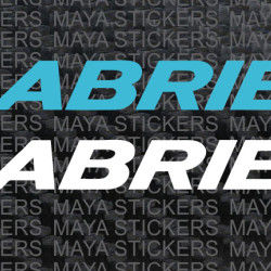 Gabriel India shockers logo bike stickers ( Pair of 2 stickers )