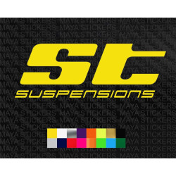 ST Suspensions logo sticker for cars ( Pair of 2 )