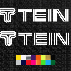 TEIN suspension logo decal car sticker  ( Pari of 2 )