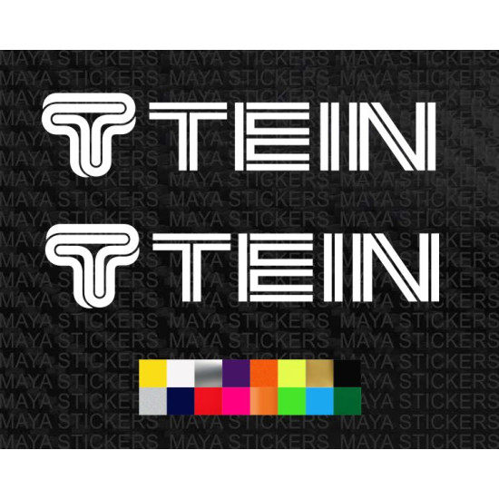 TEIN suspension logo decal car sticker  ( Pari of 2 )