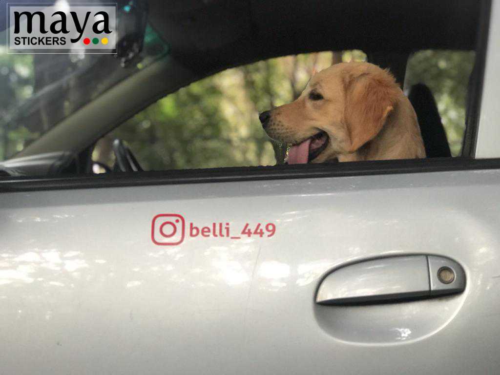 Instagram logo stickers for cars